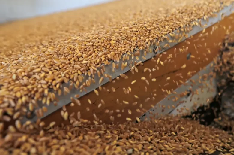 واردات مصر من القمح