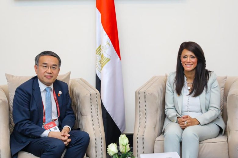 وزيرة التعاون الدولي