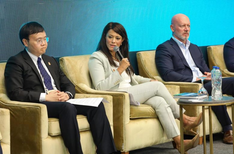 وزيرة التعاون الدولي