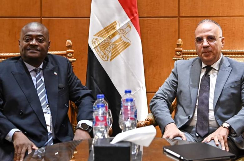 وزير الري يلتقى وزير الثروة السمكية والموارد المائية بدولة غينيا الاستوائية
