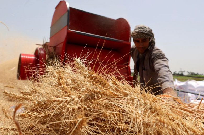 الظاهرة الزراعية الإماراتية