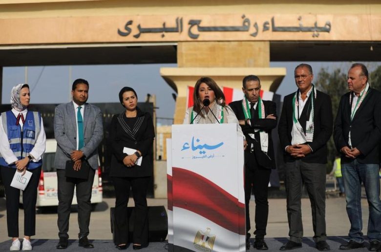 دينا عبد الفتاح