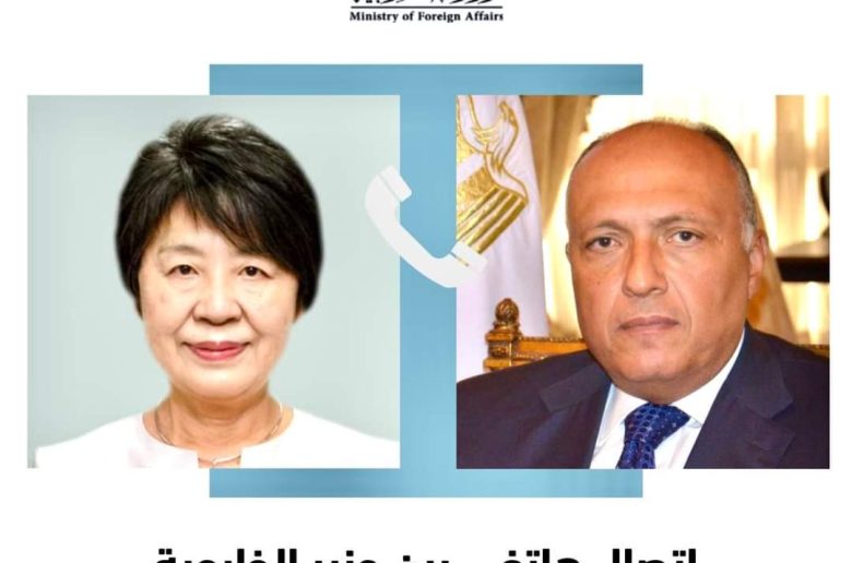 وزير الخارجية يؤكد رفض مصر القاطع لكافة محاولات تهجير الفلسطينيين