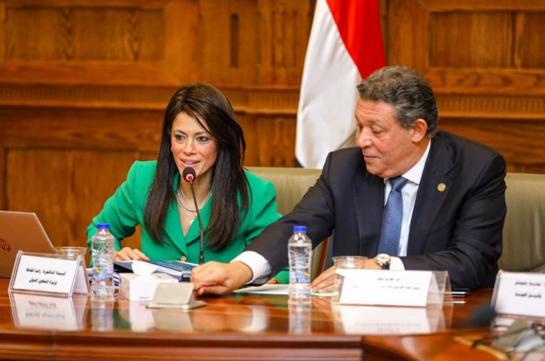 وزيرة التعاون الدولي