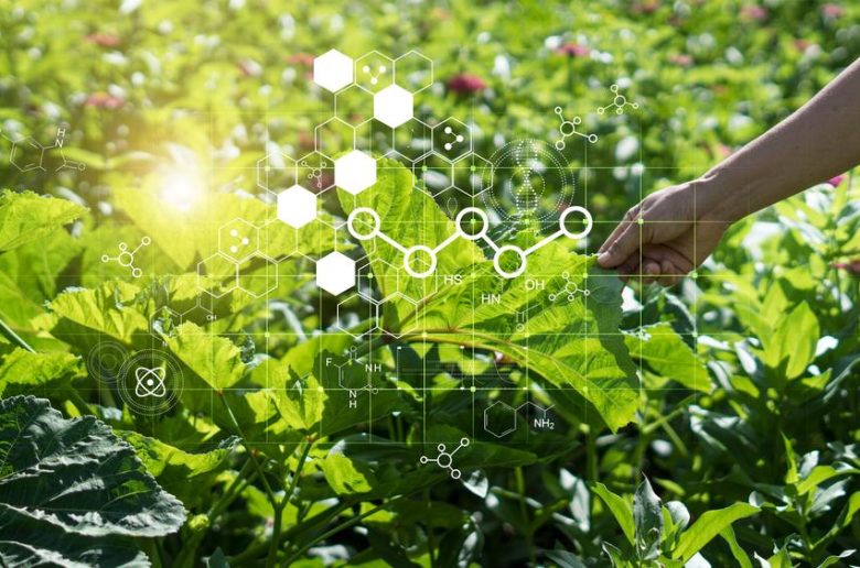 كفر الزيات للمبيدات