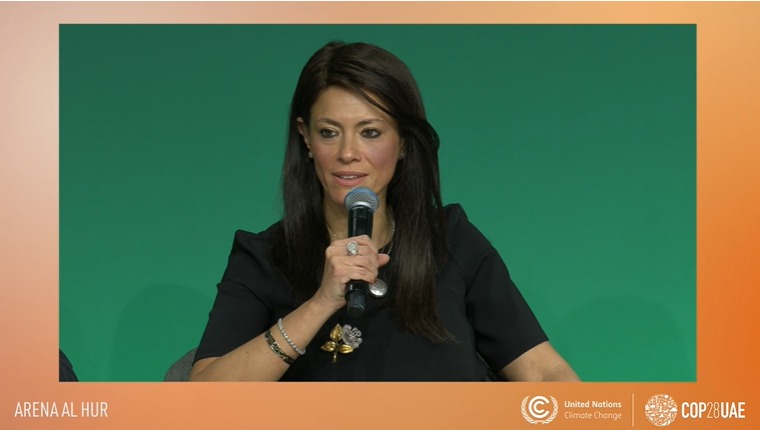 وزيرة التعاون الدولي