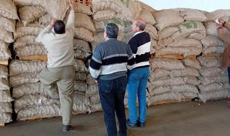 وزارة الزراعة تكثف حملات الرقابة والتفتيش على منافذ بيع تقاوي البطاطس