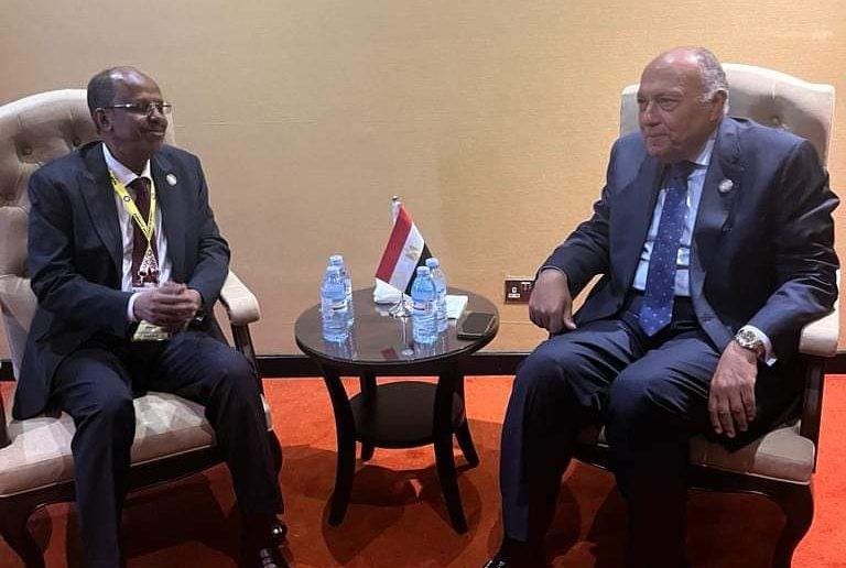 وزير الخارجية يبحث مع نظيره الجيبوتي التطورات الإقليمية في السودان والصومال