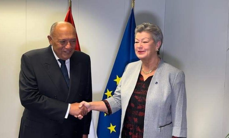 وزير الخارجية يؤكد على ثوابت الموقف المصري اتصالا بموضوعات الهجرة واللاجئين