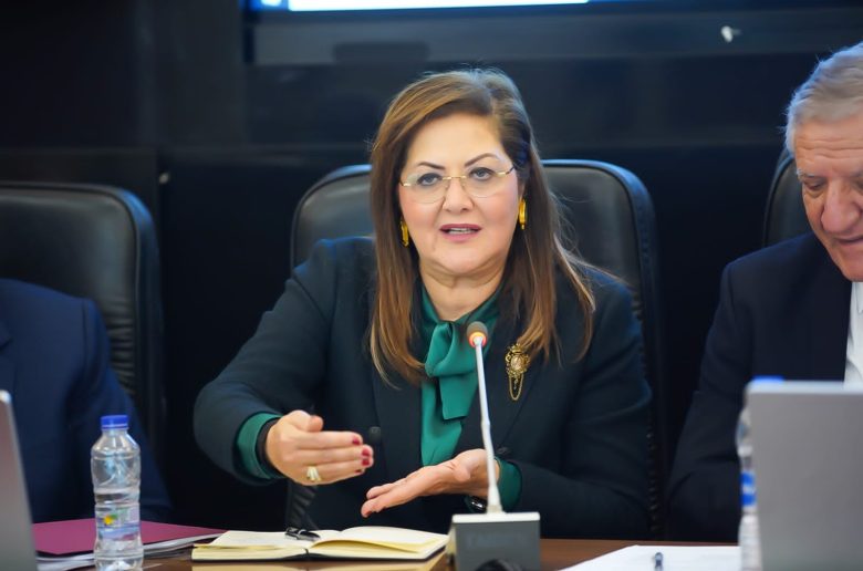 وزيرة التخطيط