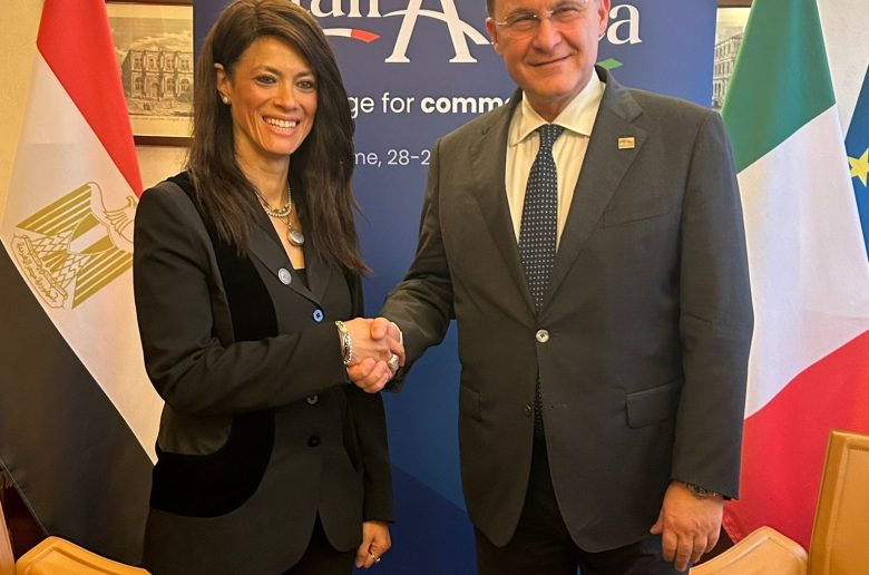 وزيرة التعاون الدولي