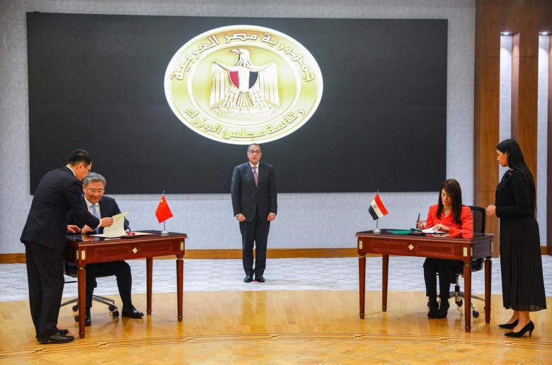 وزيرة التعاون الدولي