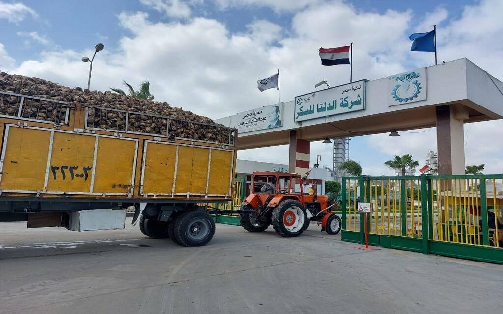 الدلتا للسكر تتحول للخسائر وتتكبد 346 مليون جنيه خلال 2025 - أموال الغد