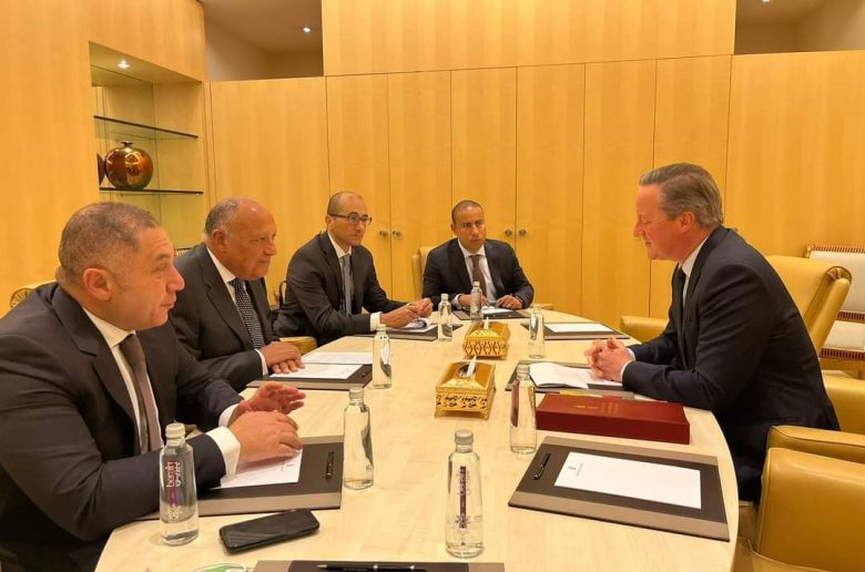 وزير الخارجية يؤكد أهمية وقف إطلاق النار في غزة وتفعيل حل الدولتين