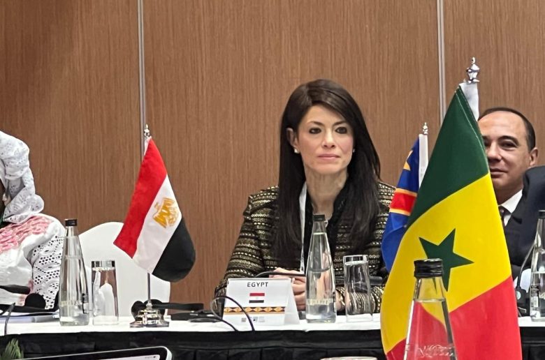 وزيرة التعاون الدولي