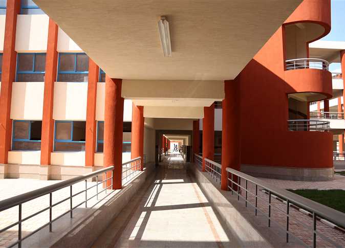 المدرسة المصرية اليابانية