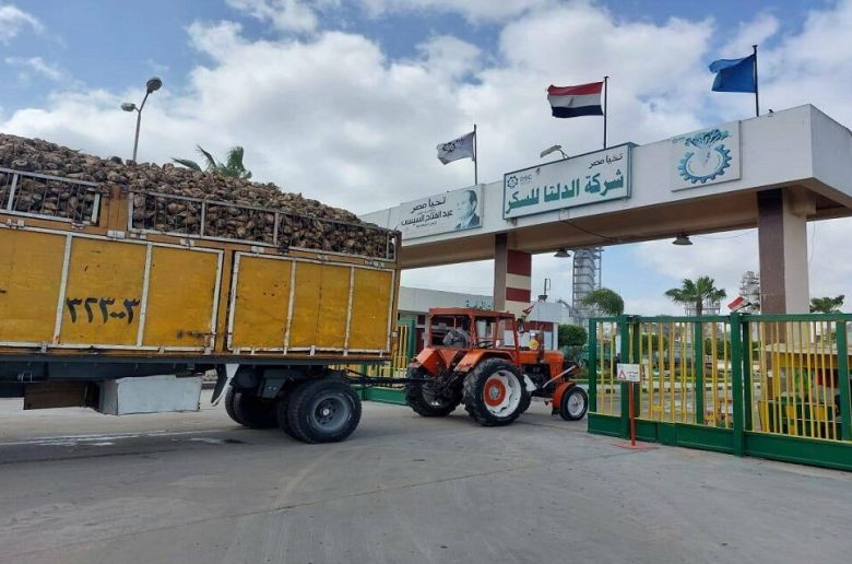 الدلتا للسكر