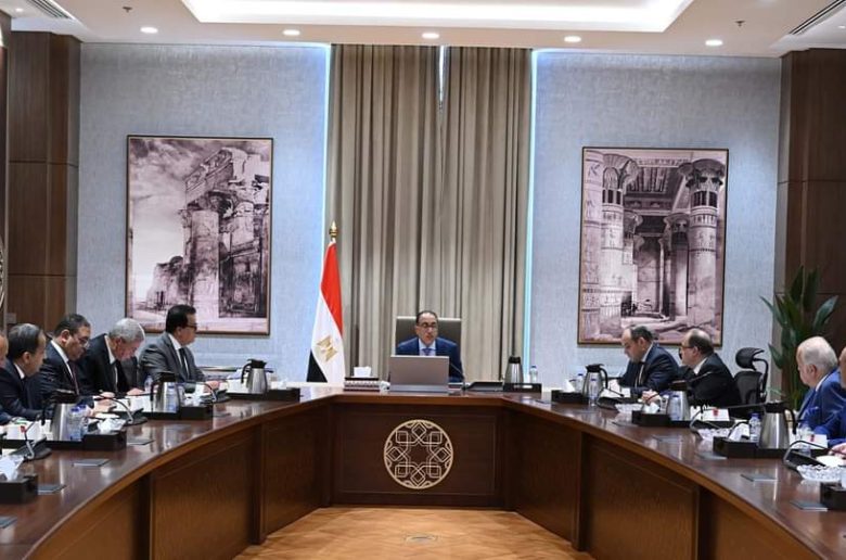 رئيس الوزراء يتابع سيل توطين صناعة قطاع الدواء وزيادة معدلات التصدير