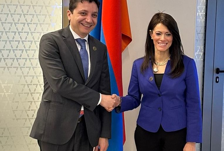 وزيرة التعاون الدولي