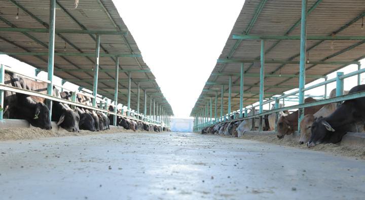 أرض الخير: حجم أعمال الشركة يتجاوز مليار جنيه سنويا