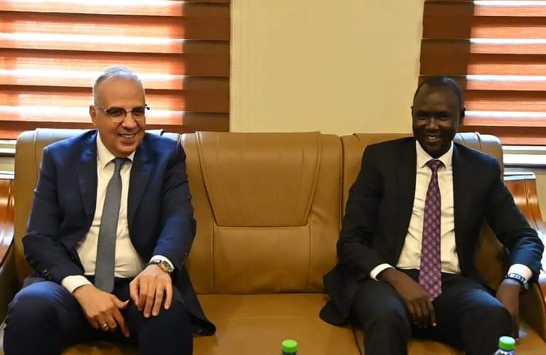وزير الري يبحث تعزيز التعاون وموقف المشروعات الثنائية مع جنوب السودان