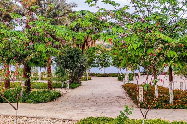 تشجير
