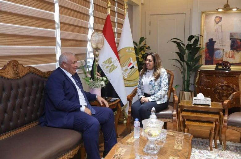 وزيرة التنمية المحلية تتابع تطورات الملفات التنموية والخدمية بالوادي الجديد