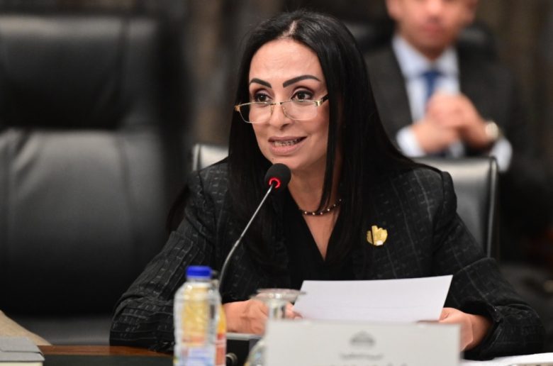 وزيرة التضامن: مهمة الوزارة حماية الفئات الأكثر احتياجا وتحسين أوضاعها