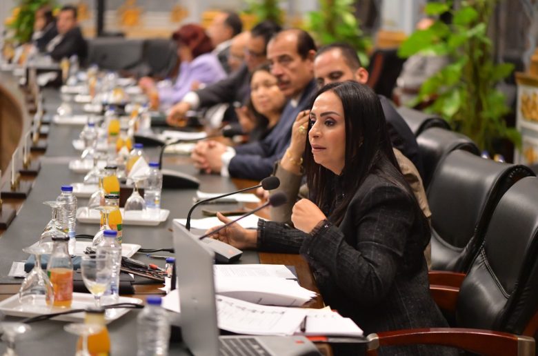 وزيرة التضامن: بنك ناصر هيئة اقتصادية لها دور اجتماعي وسنعيد توجيه استثماراته لدعم الفئات الأكثر احتياجا