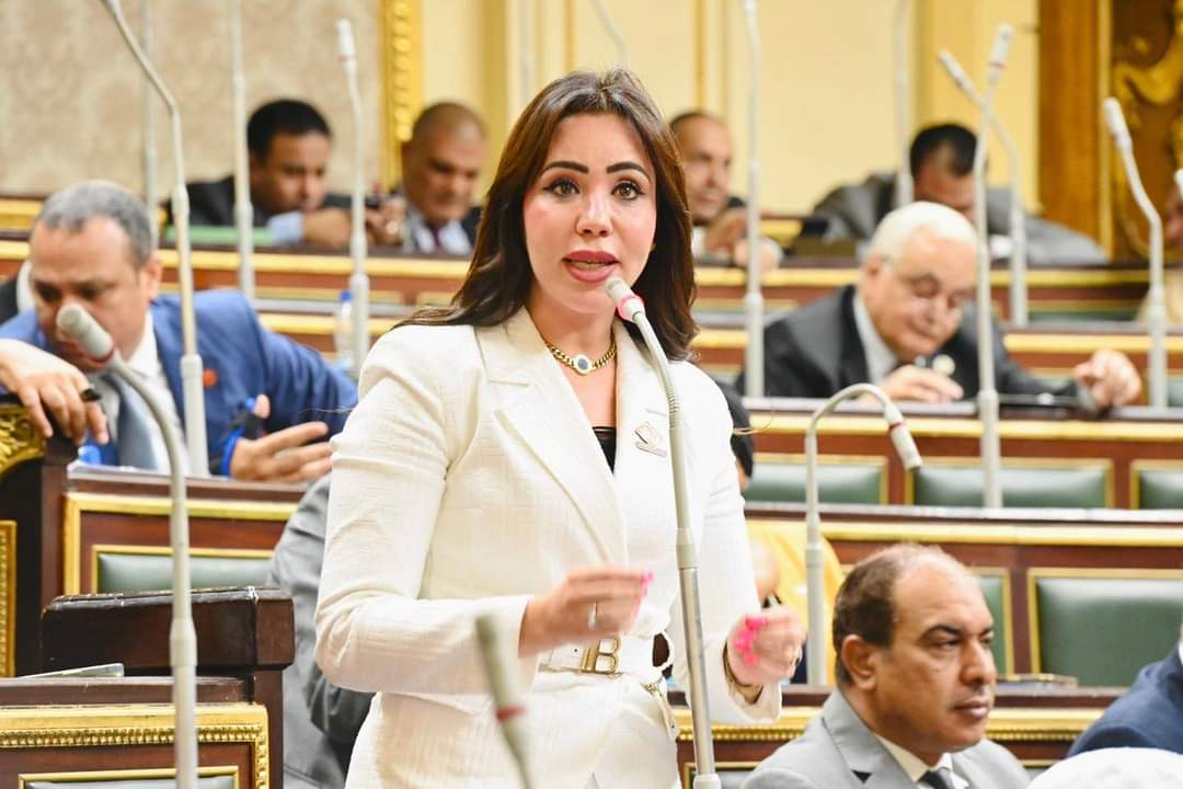غادة على عضو اللجنة الاقتصادية بالبرلمان