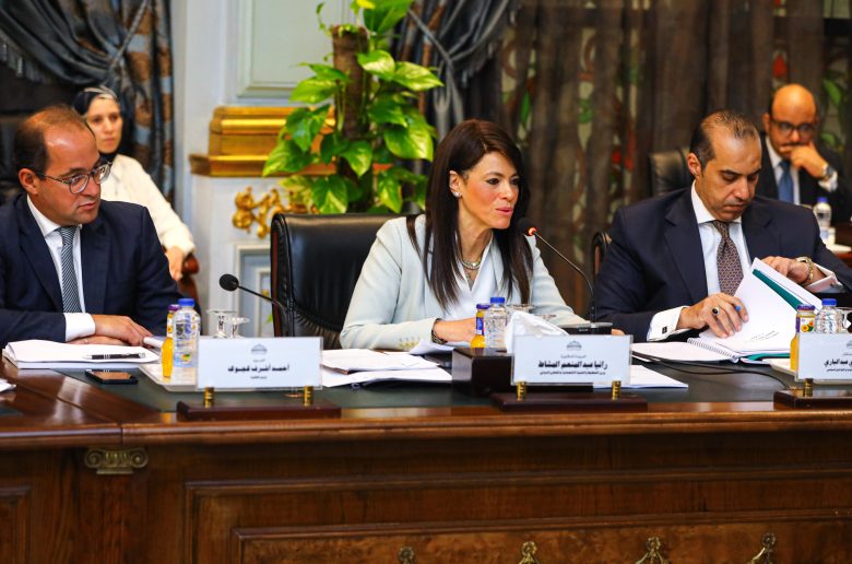 وزيرة التخطيط والتعاون الدولي