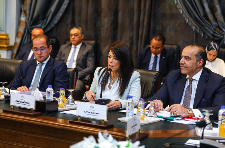 وزيرة التخطيط والتعاون الدولي