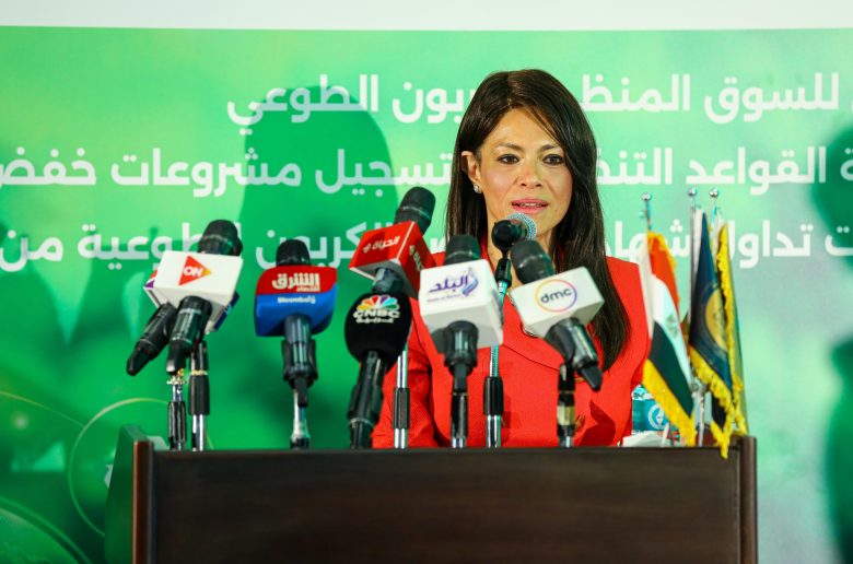 وزيرة التخطيط والتعاون الدولي