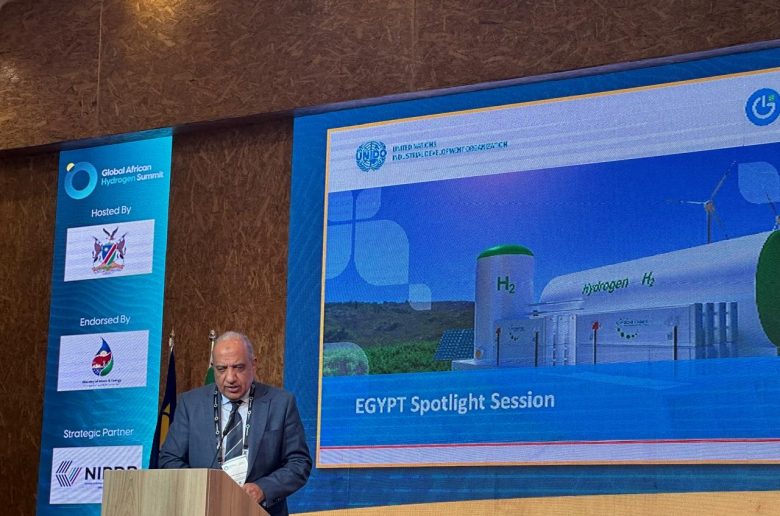 جانب من كلمة وزير الكهرباء