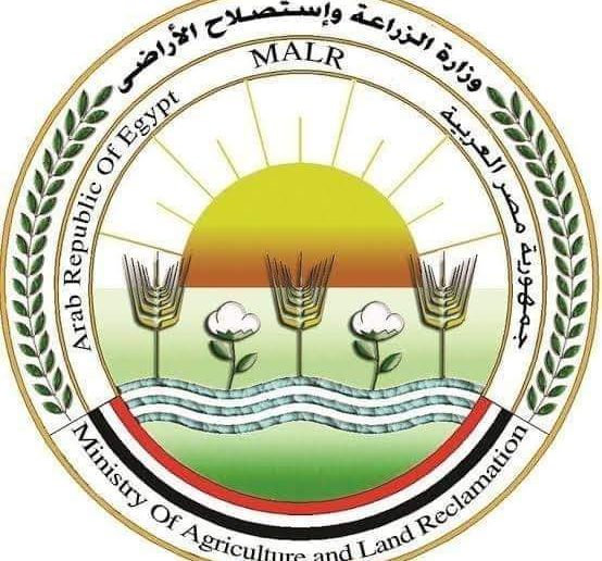 وزارة الزراعة تعلن الخريطة الصنفية لمحصول القمح في الموسم الجديد