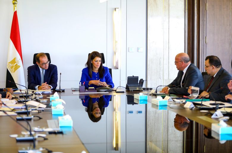 وزيرة التخطيط والتعاون الدولي