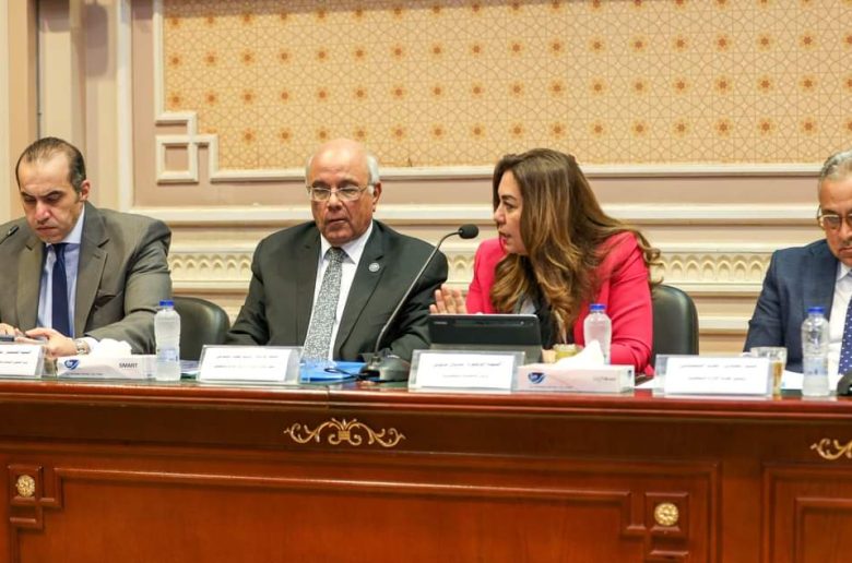 وزيرة التنمية المحلية تعرض جهود تنفيذ قانون التصالح على مخالفات البناء