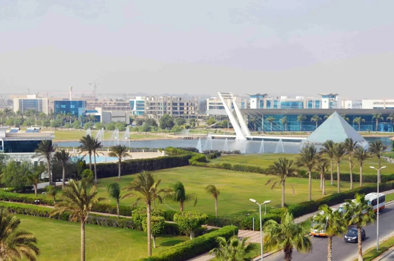 القرى الذكية