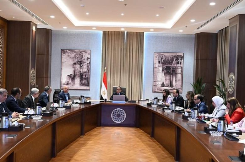 المصرية العالمية للسيارات تعتزم استثمار 100 مليون دولار لتوطين صناعة السيارات