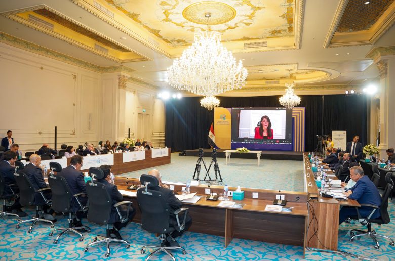  وزيرة التخطيط والتعاون الدولي