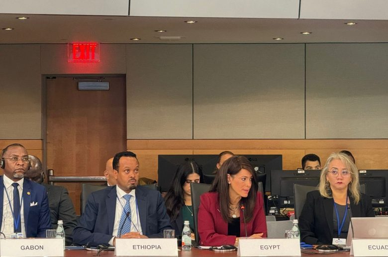 وزيرة التخطيط والتعاون الدولي