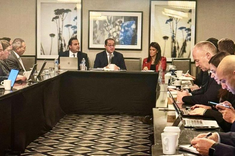 وزيرة التخطيط والتعاون الدولي