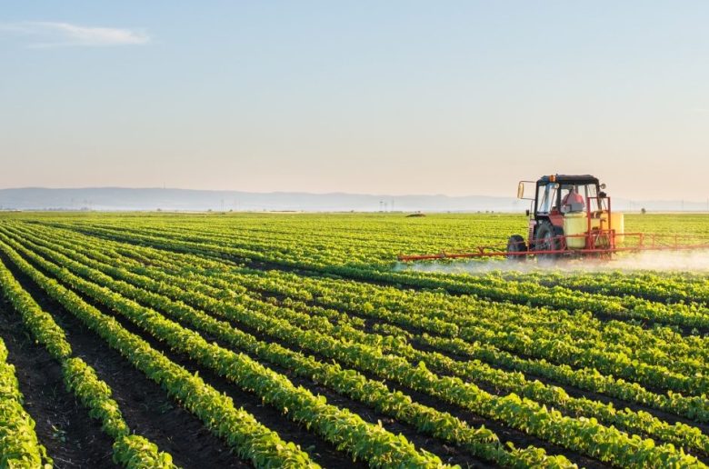 الظاهرة الإماراتية