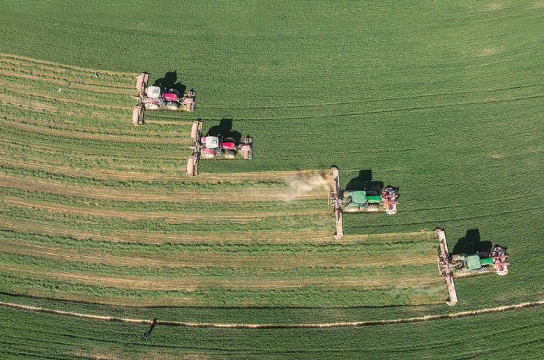 الظاهرة الإماراتية