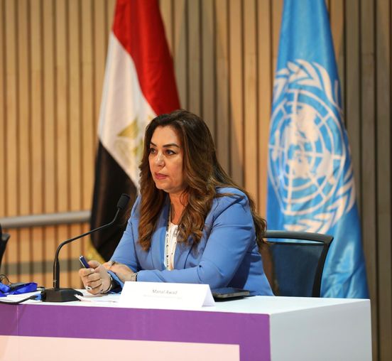 وزيرة التنمية المحلية