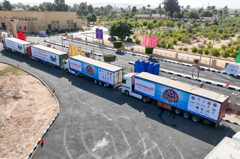 صندوق تحيا مصر