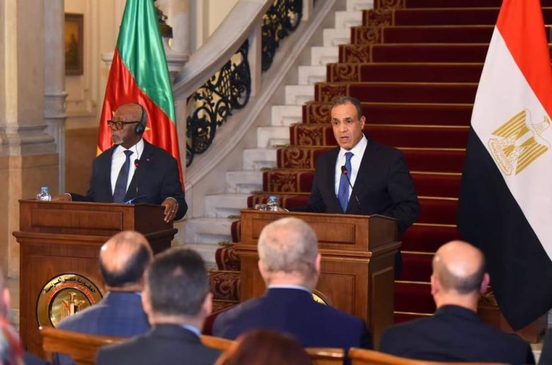 وزير الخارجية ونظيره الكاميروني يترأسان اللجنة المصرية-الكاميرونية المشتركة