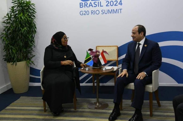 الرئيس السيسي ونظيرته التنزاني يبحثان سبل تعزيز التعاون بين دول حوض النيل