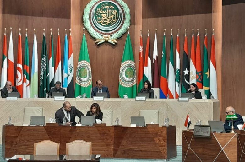 نائبة وزيرة التضامن تشهد انطلاق النسخة الخامسة من الأسبوع العربي للتنمية المستدامة