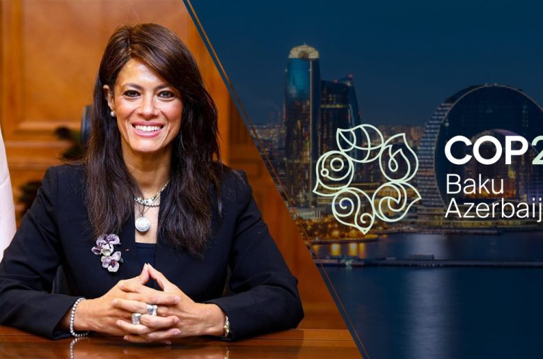 وزيرة التخطيط والتعاون الدولي